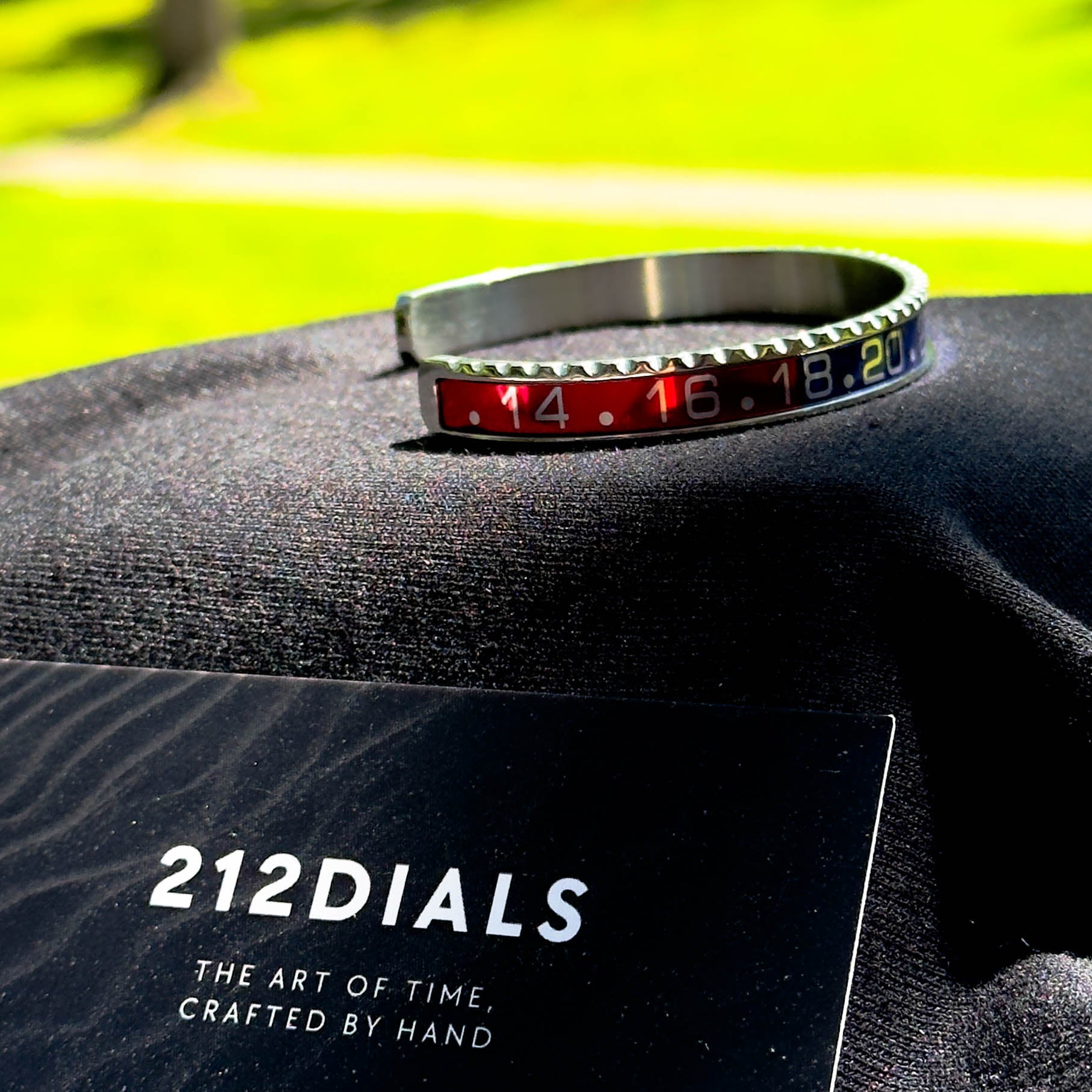 RED & BLUE BEZEL